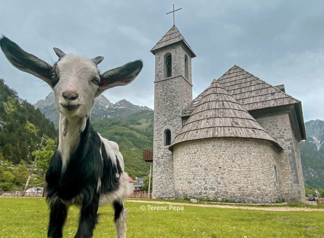 Foto: Terenc Pepa